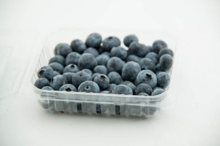 Bluberry trays
