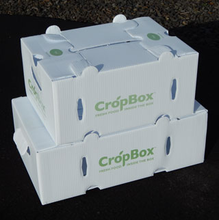 Crop boxes