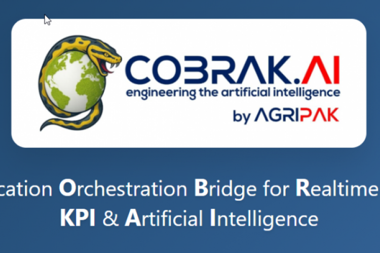 Cobrak.AI