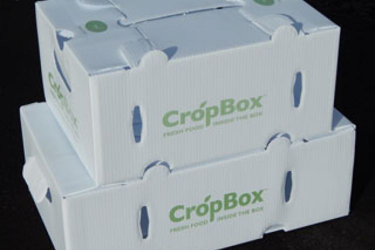 Crop boxes